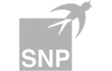 SNP GL Associates Logo