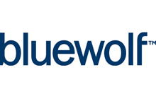Bluewolf Logo